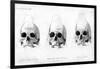 Three Types of Human Skull, 1848-null-Framed Giclee Print