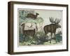 Three Types of Ruminant: Llama, Musk Deer, and Elk-null-Framed Art Print