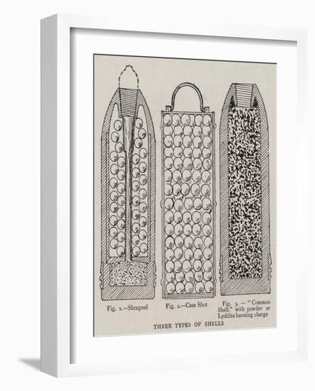 Three Types of Shells-null-Framed Giclee Print