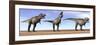 Three Tyrannosaurus Rex Dinosaurs Standing in the Desert-null-Framed Art Print