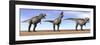 Three Tyrannosaurus Rex Dinosaurs Standing in the Desert-null-Framed Art Print