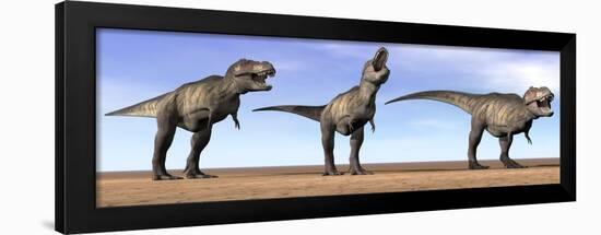 Three Tyrannosaurus Rex Dinosaurs Standing in the Desert-null-Framed Art Print