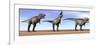 Three Tyrannosaurus Rex Dinosaurs Standing in the Desert-null-Framed Premium Giclee Print