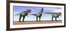 Three Tyrannosaurus Rex Dinosaurs Standing in the Desert-null-Framed Premium Giclee Print