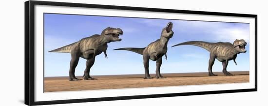 Three Tyrannosaurus Rex Dinosaurs Standing in the Desert-null-Framed Premium Giclee Print