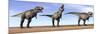 Three Tyrannosaurus Rex Dinosaurs Standing in the Desert-null-Mounted Premium Giclee Print