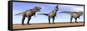 Three Tyrannosaurus Rex Dinosaurs Standing in the Desert-null-Framed Stretched Canvas