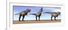 Three Tyrannosaurus Rex Dinosaurs Standing in the Desert-null-Framed Art Print