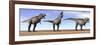 Three Tyrannosaurus Rex Dinosaurs Standing in the Desert-null-Framed Art Print