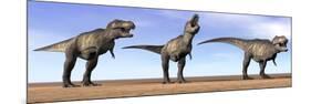 Three Tyrannosaurus Rex Dinosaurs Standing in the Desert-null-Mounted Art Print