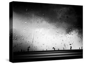 Three Umbrellas-Josh Adamski-Stretched Canvas