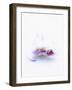Three Unpeeled Cloves of Garlic-Marc O^ Finley-Framed Photographic Print