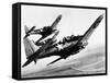 Three US Navy Dauntless Dive Bombers on a Fighting Mission in the Pacific, 1943-null-Framed Stretched Canvas