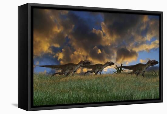 Three Utahraptors Running across Prehistoric Grasslands-null-Framed Stretched Canvas