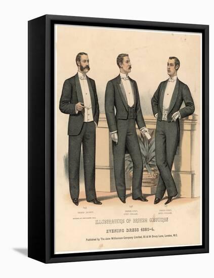 Three Variations of Evening Dress for 1893-4-null-Framed Stretched Canvas