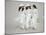 Three Vietnamese Young Women in White Fashion Walking Down the Street-Co Rentmeester-Mounted Photographic Print