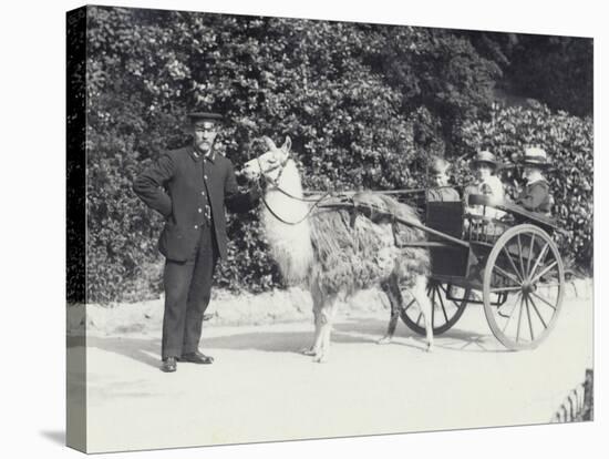 Three Visitors Including a Young Boy-Frederick William Bond-Stretched Canvas