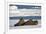 Three Walrus (Odobenus Rosmarus) Resting on Sea Ice, Svalbard, Norway, August 2009-Cairns-Framed Photographic Print