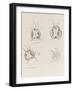 Three Whistler Butterflies and One Destroyed Sketch, C.1890 (Crayon on Paper)-James Abbott McNeill Whistler-Framed Giclee Print