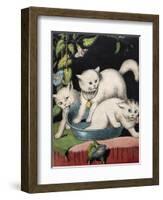 Three White Cats and Tub-Louis Wain-Framed Giclee Print