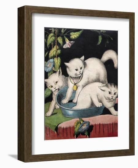 Three White Cats and Tub-Louis Wain-Framed Giclee Print