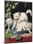 Three White Cats and Tub-Louis Wain-Mounted Giclee Print