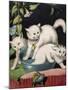 Three White Cats and Tub-Louis Wain-Mounted Giclee Print