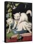 Three White Cats and Tub-Louis Wain-Framed Stretched Canvas