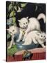 Three White Cats and Tub-Louis Wain-Stretched Canvas