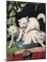 Three White Cats and Tub-Louis Wain-Mounted Giclee Print