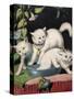 Three White Cats and Tub-Louis Wain-Stretched Canvas