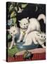 Three White Cats and Tub-Louis Wain-Stretched Canvas