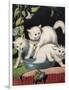 Three White Cats and Tub-Louis Wain-Framed Giclee Print