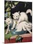 Three White Cats and Tub-Louis Wain-Mounted Giclee Print