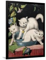 Three White Cats and Tub-Louis Wain-Framed Giclee Print