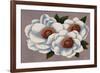 Three White Flowers-Vivien Rhyan-Framed Art Print