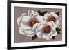 Three White Flowers-Vivien Rhyan-Framed Art Print