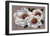 Three White Flowers-Vivien Rhyan-Framed Art Print
