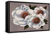 Three White Flowers-Vivien Rhyan-Framed Stretched Canvas