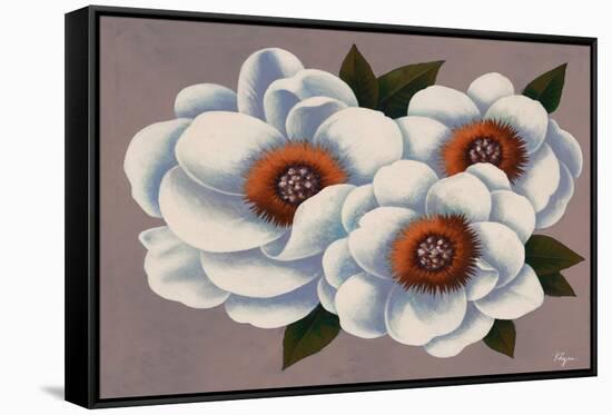 Three White Flowers-Vivien Rhyan-Framed Stretched Canvas