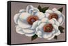 Three White Flowers-Vivien Rhyan-Framed Stretched Canvas