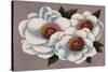 Three White Flowers-Vivien Rhyan-Stretched Canvas