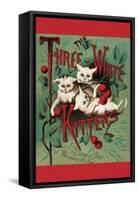 Three White Kittens-null-Framed Stretched Canvas