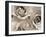 Three White Roses-Robert Cattan-Framed Photographic Print