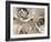 Three White Roses-Robert Cattan-Framed Photographic Print