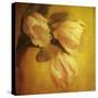 Three White Tulips-Trigger Image-Stretched Canvas