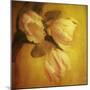 Three White Tulips-Trigger Image-Mounted Photographic Print