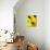 Three White Wine Bottles and a Wine Glass-Ulrike Koeb-Photographic Print displayed on a wall