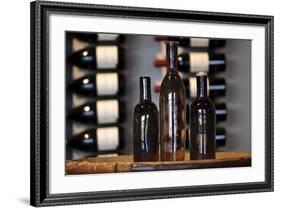 Three Wine Bottles-Matt Freedman-Framed Photographic Print