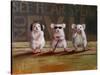 Three Wise Mice-Lucia Heffernan-Stretched Canvas